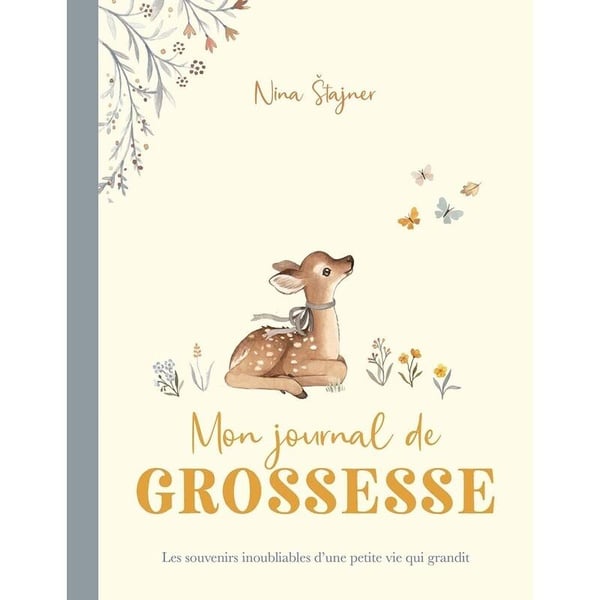 Livre - mon journal de grossesse